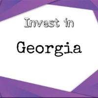 سرمایه گذاری در گرجستان